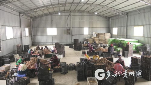 多彩貴州網(wǎng) 安龍縣省級重大項目全部復(fù)工