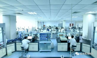 南海新區兩家企業在全國大賽中獲獎